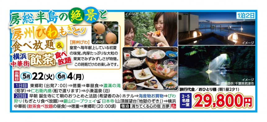 房総半島の絶景と房州びわ食べ放題&横浜中華街「飲茶」食べ放題