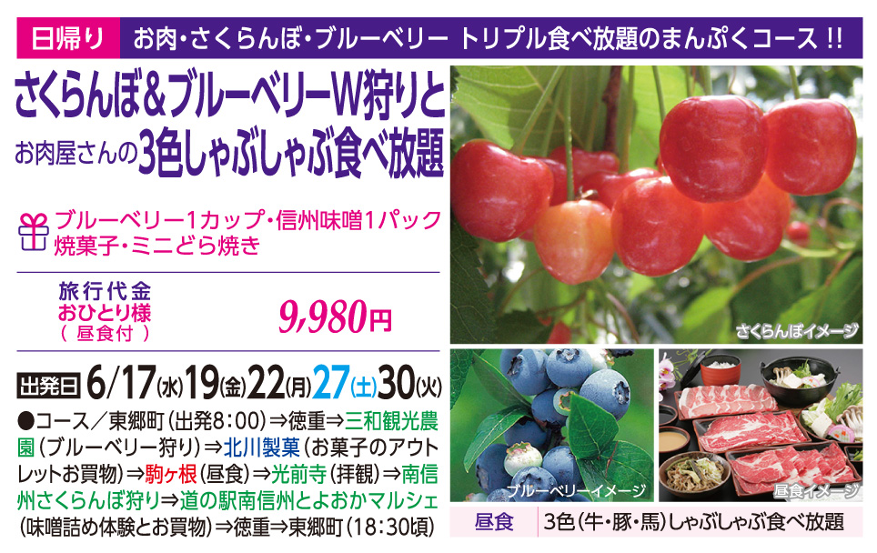 さくらんぼ&ブルーベリーW狩りとお肉屋さんの3色しゃぶしゃぶ食べ放題