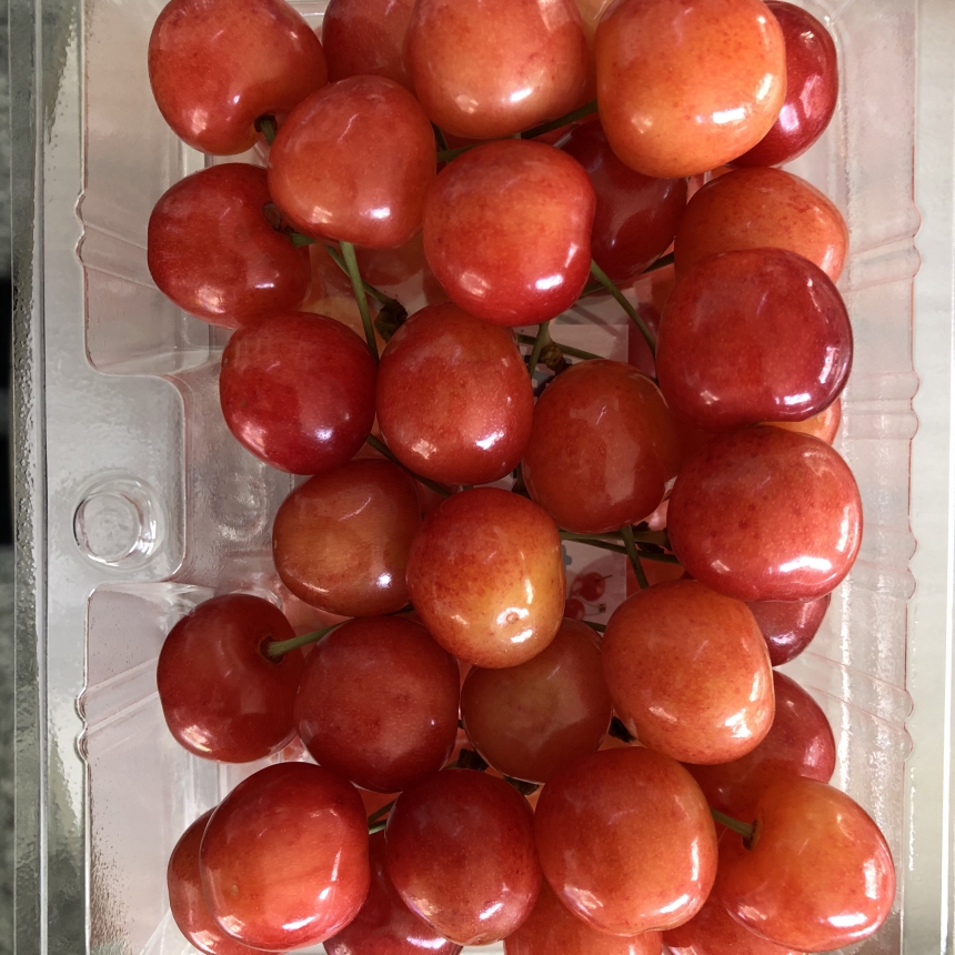 🍒6月24(水)・28(日)さくらんぼ販売会INワールド旅行🍒