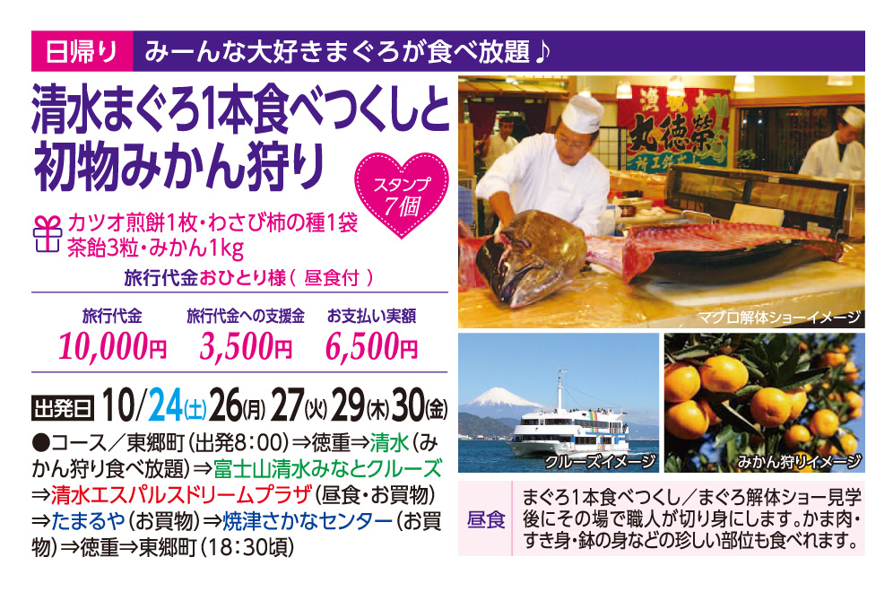 GOTOトラベル事業対象 7周年特別企画 清水まぐろ1本食べつくしと初物みかん狩り