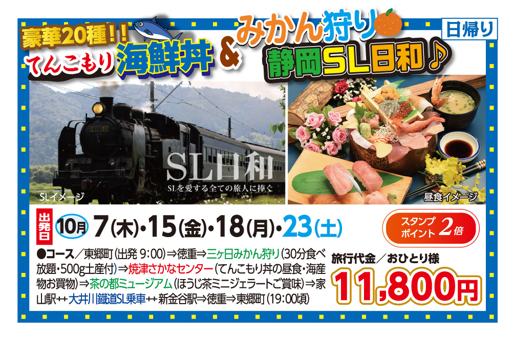 豪華20種てんこもり海鮮丼&みかん狩り 静岡SL日和