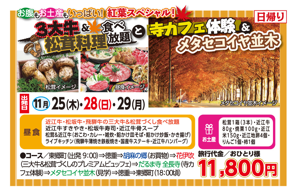 3大牛松茸料理食べ放題と寺カフェ体験&メタセコイヤ並木