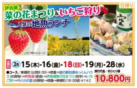 🚌伊良湖菜の花まつり＆いちご狩り🐟人気の地魚ランチ🚌