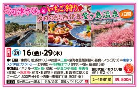🚌河津さくら＆いちご狩り西伊豆堂ヶ島温泉２日間🚌