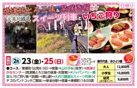 🚌焼津鮪とろ三昧＆早さき桜🌸大井川鐵道スイーツ列車といちご狩り🚌
