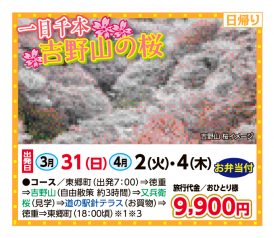 🚌一目千本🌸吉野山の桜🚌