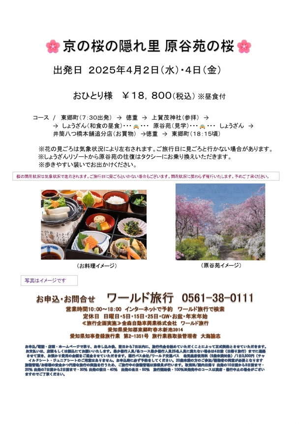 🚌京の桜の隠れ里　原谷苑の桜🚌