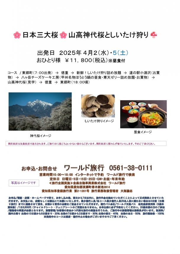 🚌日本三大桜🌸山高神代桜としいたけ狩り🚌