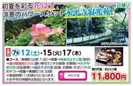 🚌初夏を彩る花はす＆永平寺寂光苑🚌