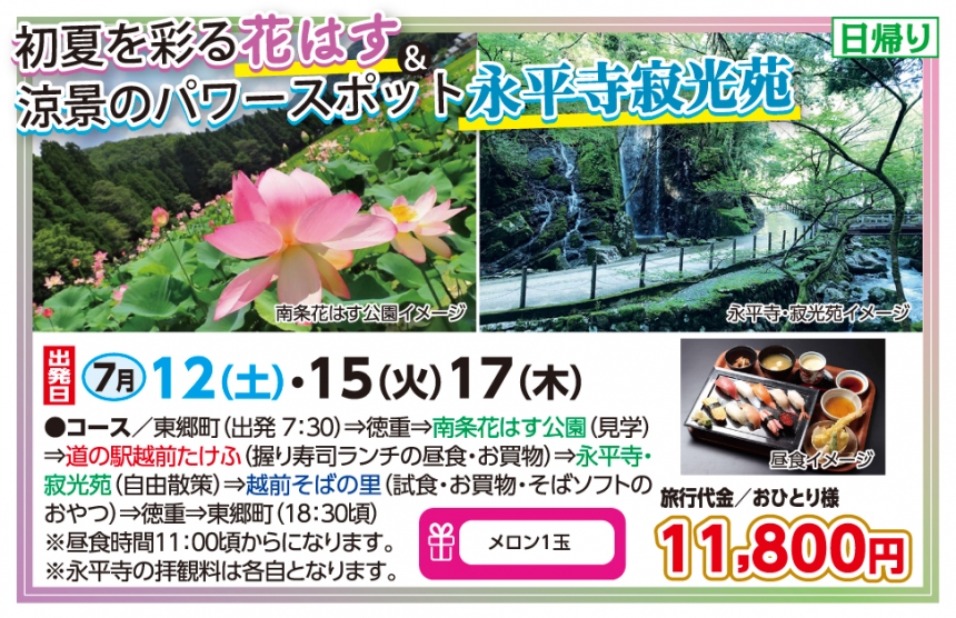 🚌初夏を彩る花はす＆永平寺寂光苑🚌