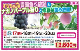 🚌貴陽食べ放題＆ナガノパープル狩りと夏野菜詰め放題🚌