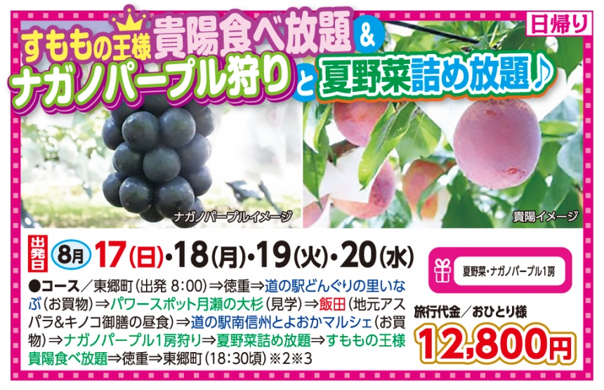 🚌貴陽食べ放題＆ナガノパープル狩りと夏野菜詰め放題🚌