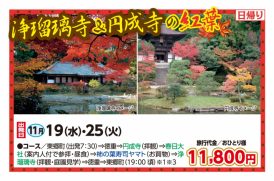 🚌浄瑠璃寺＆円成寺の紅葉🚌