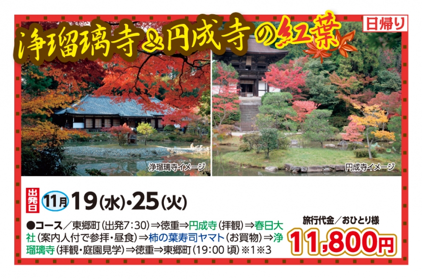 🚌浄瑠璃寺＆円成寺の紅葉🚌