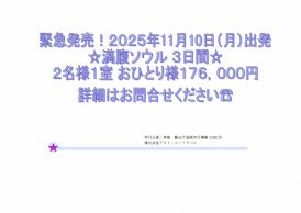 ✈緊急発売！満腹ソウル３日間✈