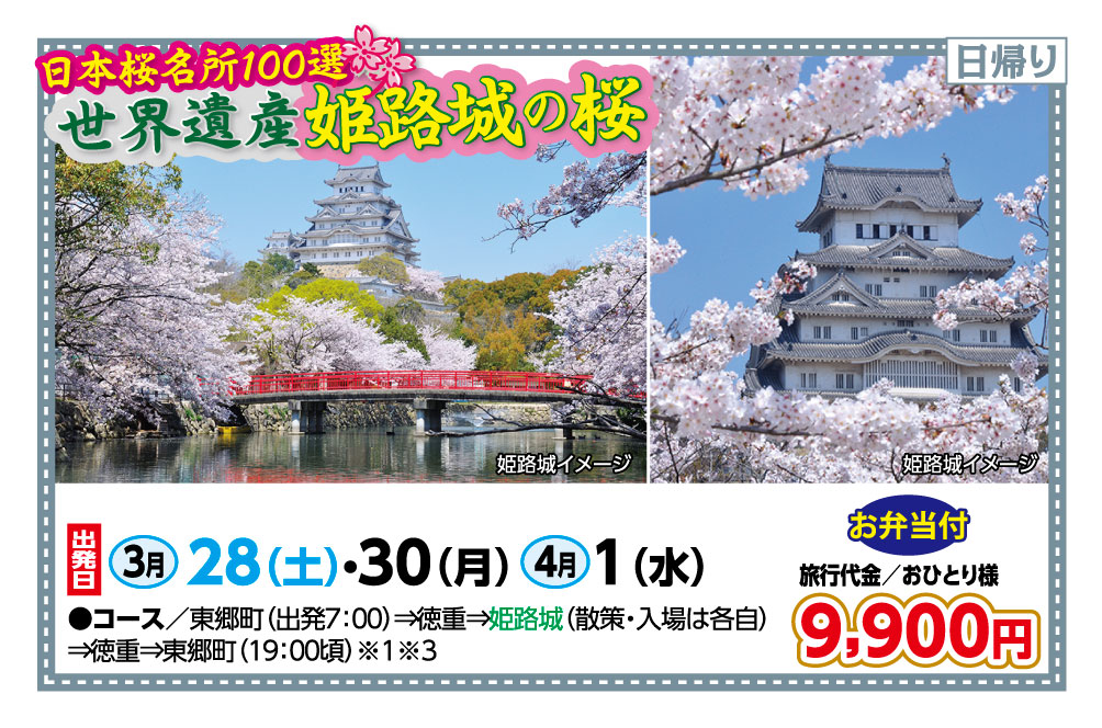 🚌世界遺産🌸姫路城の桜🚌