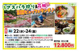 🚌アスパラ狩り＆花桃　菜園ビュッフェランチ🚌