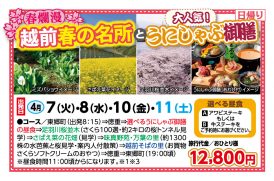 🚌越前春の名所とうにしゃぶ御膳🚌