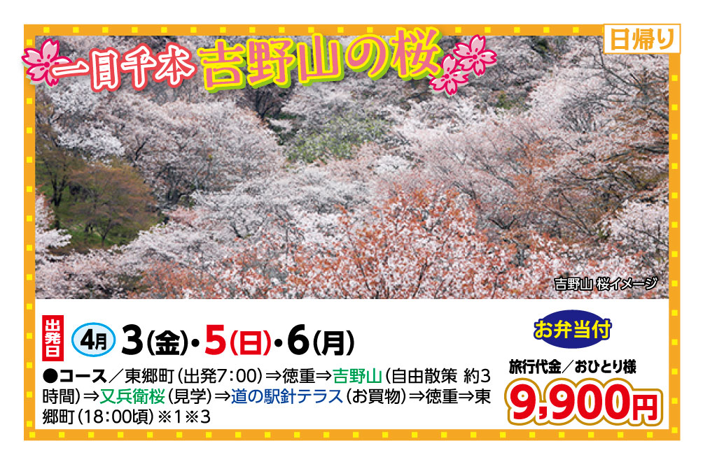 🚌一目千本🌸吉野山の桜🚌